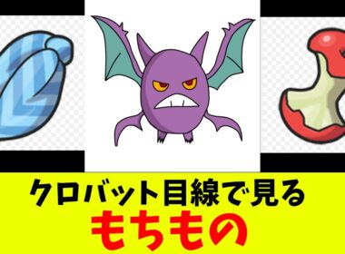 クロバット目線で見るもちもの