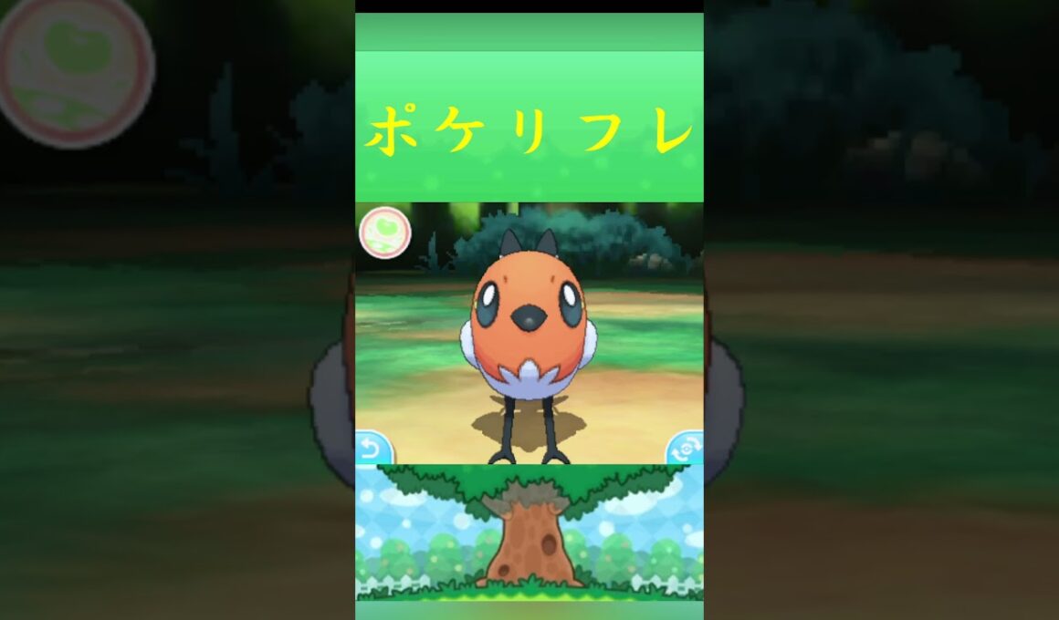 ポケモン ヤヤコマ ポケリフレ ポケパルレ #ポケモン #Pokemon  #3DS #ポケモン技 #ポケモンsv #ポケモン#キャンプ #カレー #サンドイッチ #ピクニック