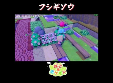 【ぽこポケ】フシギソウの反応集【切り抜き／ぽこあポケモン】 #フシギソウ #pokopia  #shorts