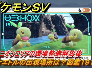ポケモンＳＶ　ナエトルの出現場所は？図鑑１９１　キャニオンエリアの環境整備解放後　ブルーベリー図鑑エリア　＃１５９　【DLCゼロの秘宝　碧の仮面・藍の円盤】