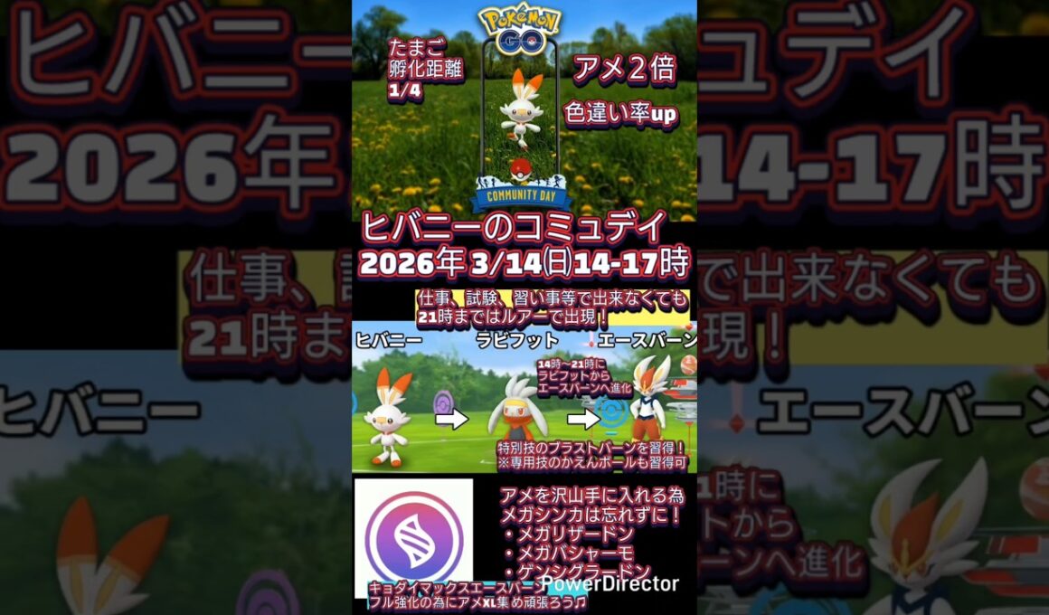 ヒバニーのコミュデイ初開催！大人気エースバーンを強くしたいなら頑張ろう #ポケモンgo #ヒバニー #エースバーン #コミュデイ #色違い #shorts