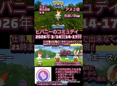 ヒバニーのコミュデイ初開催！大人気エースバーンを強くしたいなら頑張ろう #ポケモンgo #ヒバニー #エースバーン #コミュデイ #色違い #shorts