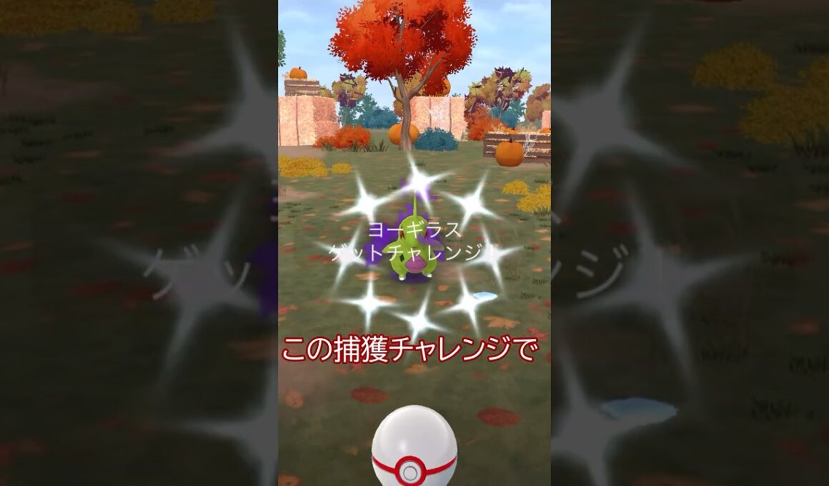 ⚠️ついにきた‼️色違いシャドウヨーギラス🌋✨#ポケモンgo #pokemongo #pokemongoshorts