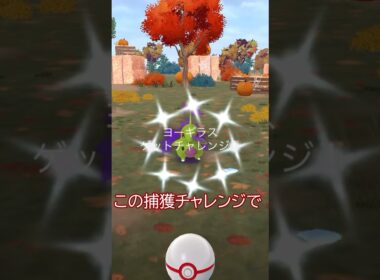 ⚠️ついにきた‼️色違いシャドウヨーギラス🌋✨#ポケモンgo #pokemongo #pokemongoshorts