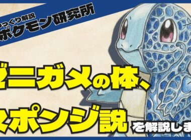 【ゼニガメ、全身スポンジ説】ポケモンの生態を詳しく考察していき、ゼニガメの謎を解き明かす！(ゆっくり解説)