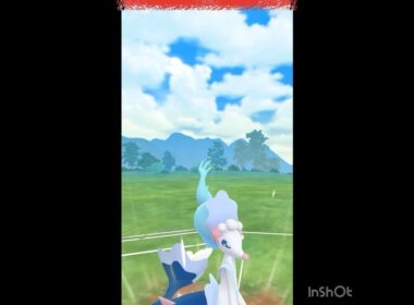 大注目のアシレーヌを使ってみた‼️