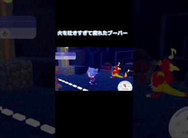 長椅子を作ったらすぐ眠るブーバー #ぽこあポケモン