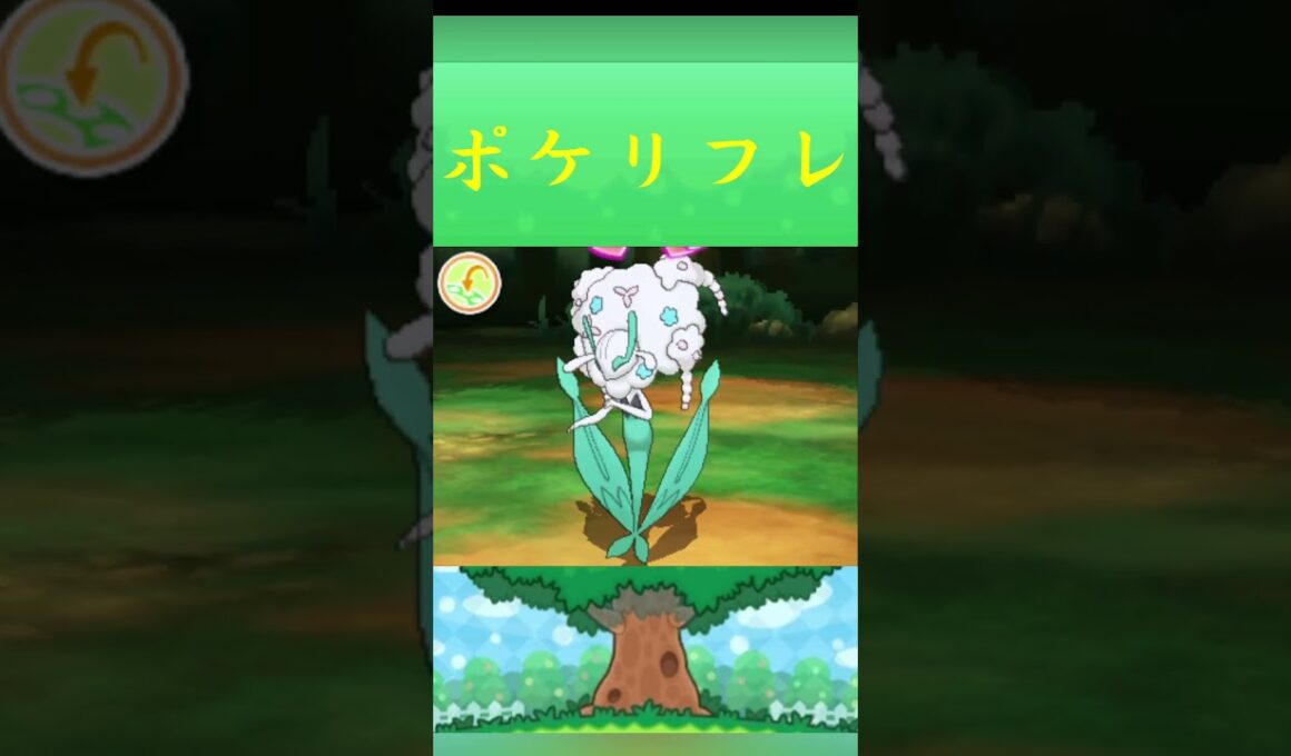 ポケモン フラージェス ポケリフレ ポケパルレ #ポケモン #Pokemon  #3DS #ポケモン技 #ポケモンsv #ポケモン #ふれあい #キャンプ #カレー #サンドイッチ #ピクニック