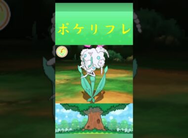 ポケモン フラージェス ポケリフレ ポケパルレ #ポケモン #Pokemon  #3DS #ポケモン技 #ポケモンsv #ポケモン #ふれあい #キャンプ #カレー #サンドイッチ #ピクニック