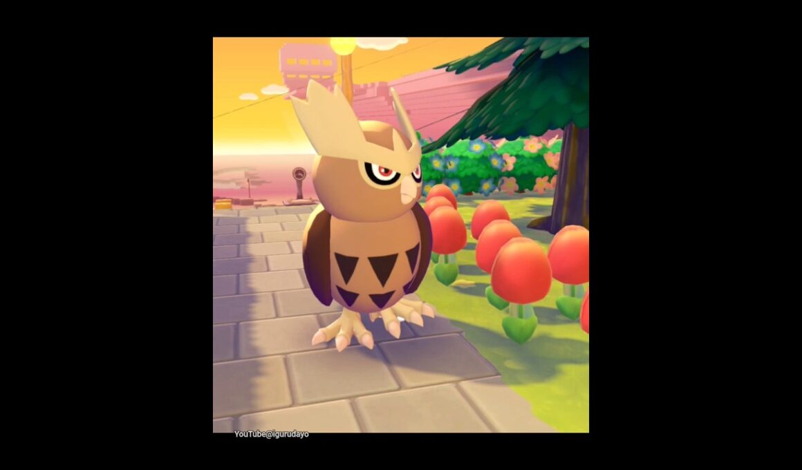 ヨルノズク🦉🎶 Noctowl　#pokopia #ぽこあポケモン #pokemon