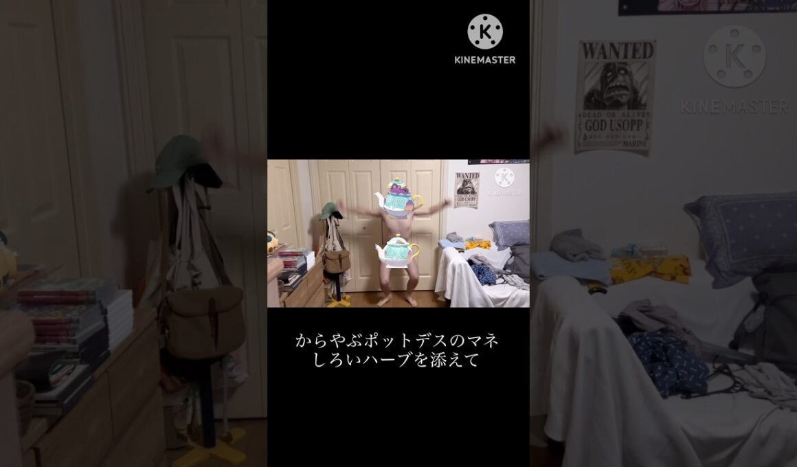【ポケモンチャンピオンズ】からをやぶるポットデスのマネ〜しろいハーブを添えて〜