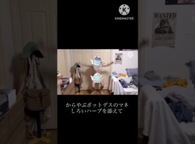 【ポケモンチャンピオンズ】からをやぶるポットデスのマネ〜しろいハーブを添えて〜