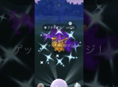 ありがとうアルロ！シャドウ クヌギダマ色違い初ゲット！ #ポケモンgo