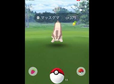 【ポケモンGO】初めて、野生のマッスグマに遭遇！