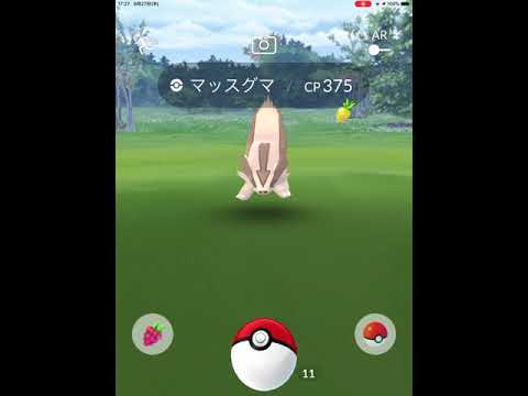 【ポケモンGO】初めて、野生のマッスグマに遭遇！
