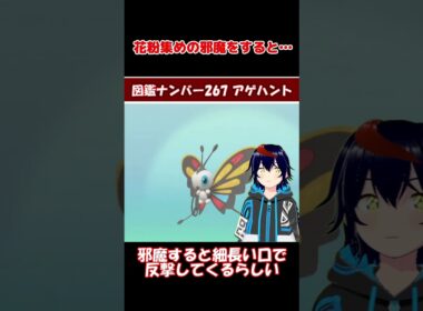 アゲハント、可愛いのに…【りるポケ図鑑】