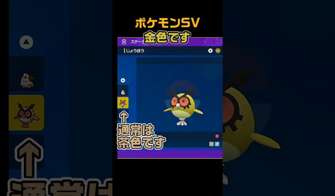 色違いホーホー　 #shorts　ポケモンSV
