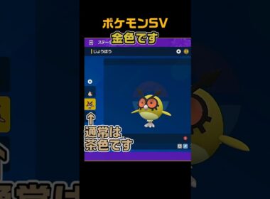 色違いホーホー　 #shorts　ポケモンSV