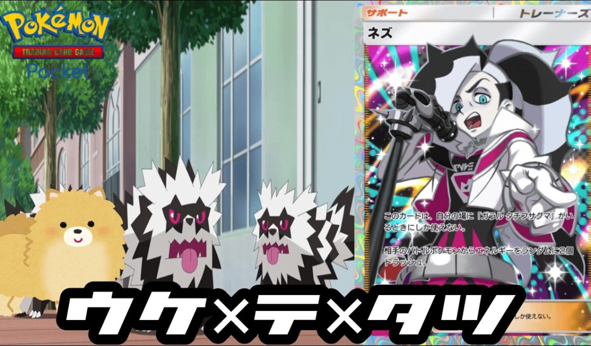 【ポケポケ】実はネズを2枚も入れなかったらちゃんと強かったかもタチフサグマさんデッキ