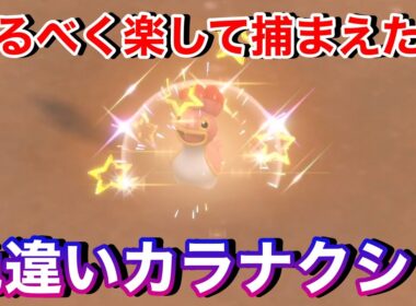 実は超レアな大量発生だった⁉︎1週間かかった色違いカラナクシ。とある方法で時間短縮出来た⁉︎