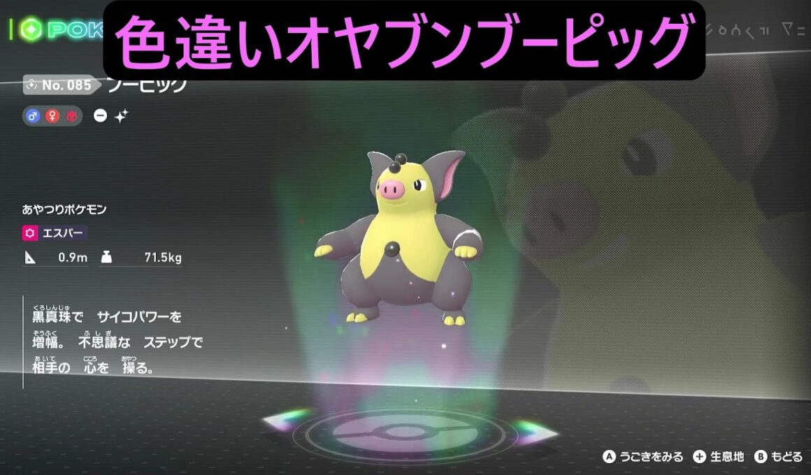 色違いオヤブンバネブー・ブーピッグ ポケモンレジェンズZA M次元ラッシュ Pokémon LEGENDS Z-A Mega Dimension #ポケモン #ポケモンza