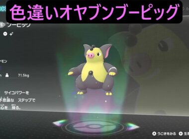 色違いオヤブンバネブー・ブーピッグ ポケモンレジェンズZA M次元ラッシュ Pokémon LEGENDS Z-A Mega Dimension #ポケモン #ポケモンza