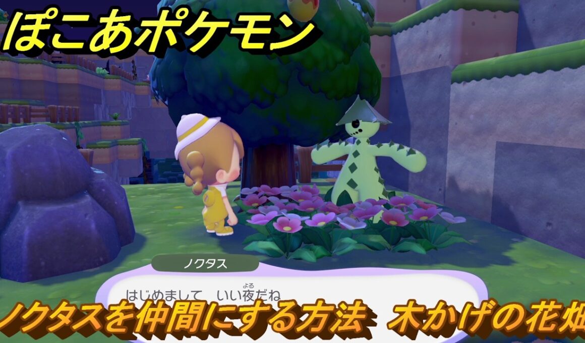 ぽこあポケモン　ノクタスを仲間にする方法　木かげの花畑　＃３１６　【ぽこポケ】