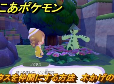 ぽこあポケモン　ノクタスを仲間にする方法　木かげの花畑　＃３１６　【ぽこポケ】