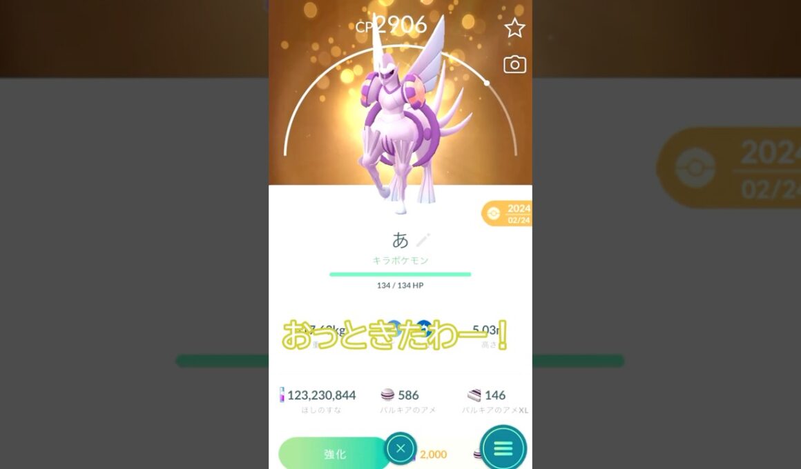 今週のキラガチャ運ゲーはディアルガ、パルキア🐲なかよしフライデー #ポケモンgo #pokemongo #pokemongoshorts