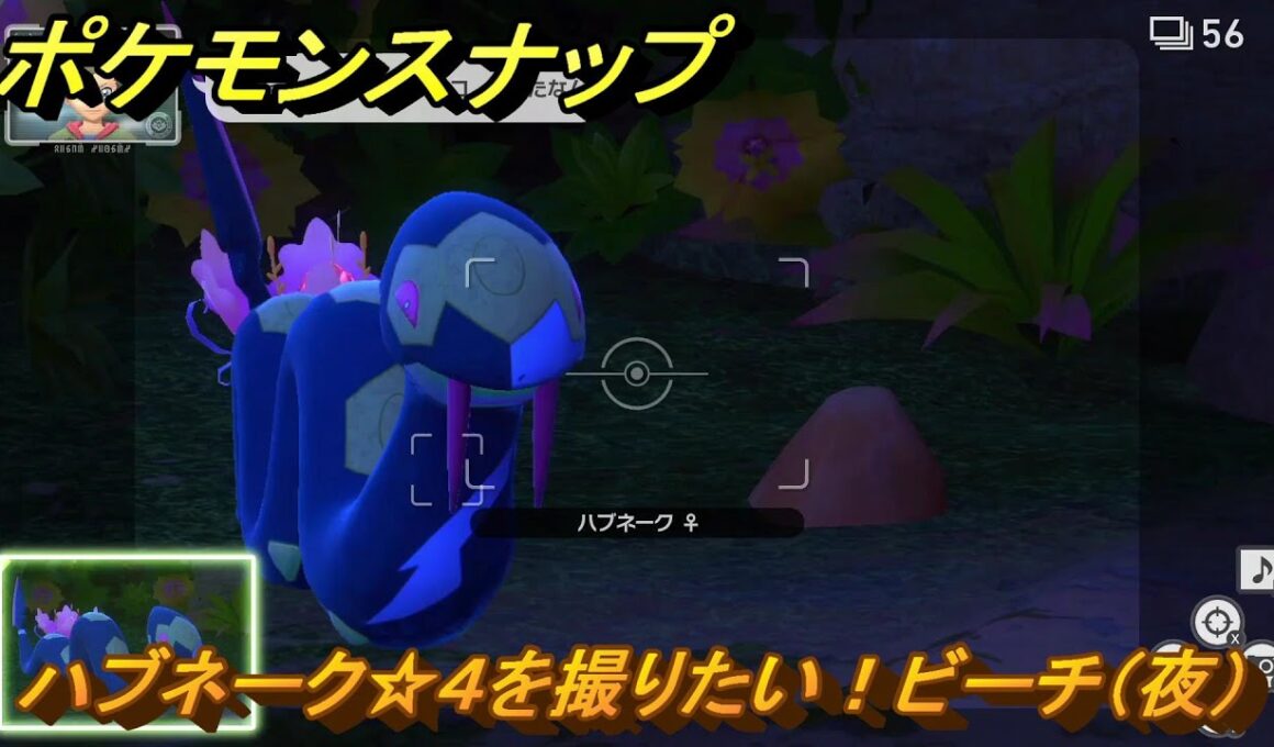 ポケモンスナップ　ハブネーク☆４を撮りたい！ビーチ（夜）調査レベル２　＃８９　【New ポケモンスナップ】