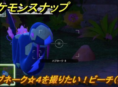 ポケモンスナップ　ハブネーク☆４を撮りたい！ビーチ（夜）調査レベル２　＃８９　【New ポケモンスナップ】