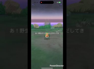 緑のスバメ #pokemongo #pokemon #ポケgo #ポケモン #ポケモンgo #shinypokemon #shiny #pokémon #gaming