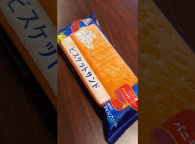 最後にビスケットサンドが食べたい！