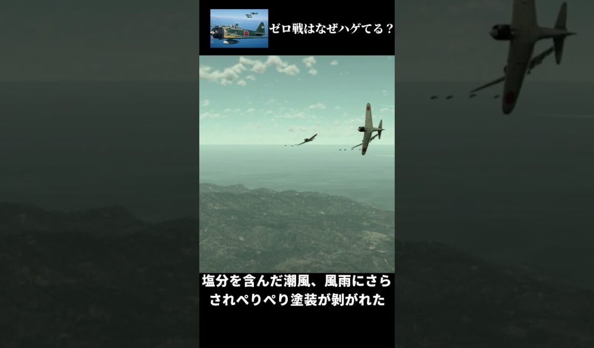 なぜゼロ戦はハゲているイメージがあるのか？ #warthunder #ウォーサンダー#ゼロ戦　#太平洋戦争 　#日本軍　#零式艦上戦闘機　#ゆっくり解説