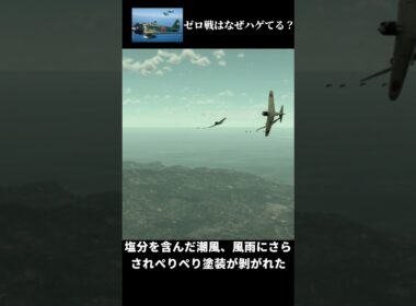 なぜゼロ戦はハゲているイメージがあるのか？ #warthunder #ウォーサンダー#ゼロ戦　#太平洋戦争 　#日本軍　#零式艦上戦闘機　#ゆっくり解説