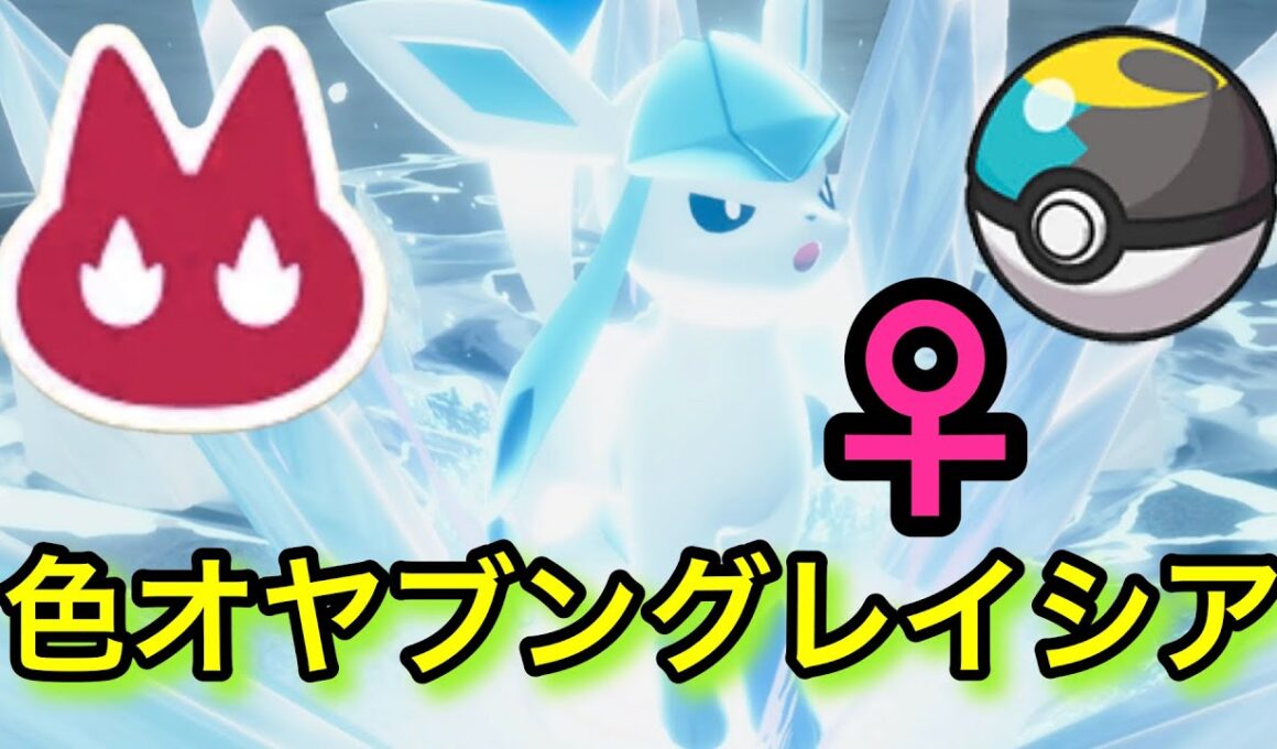 【念願】♀色違いオヤブンブグレイシアをムンボで厳選！【ポケモンレジェンズZA】