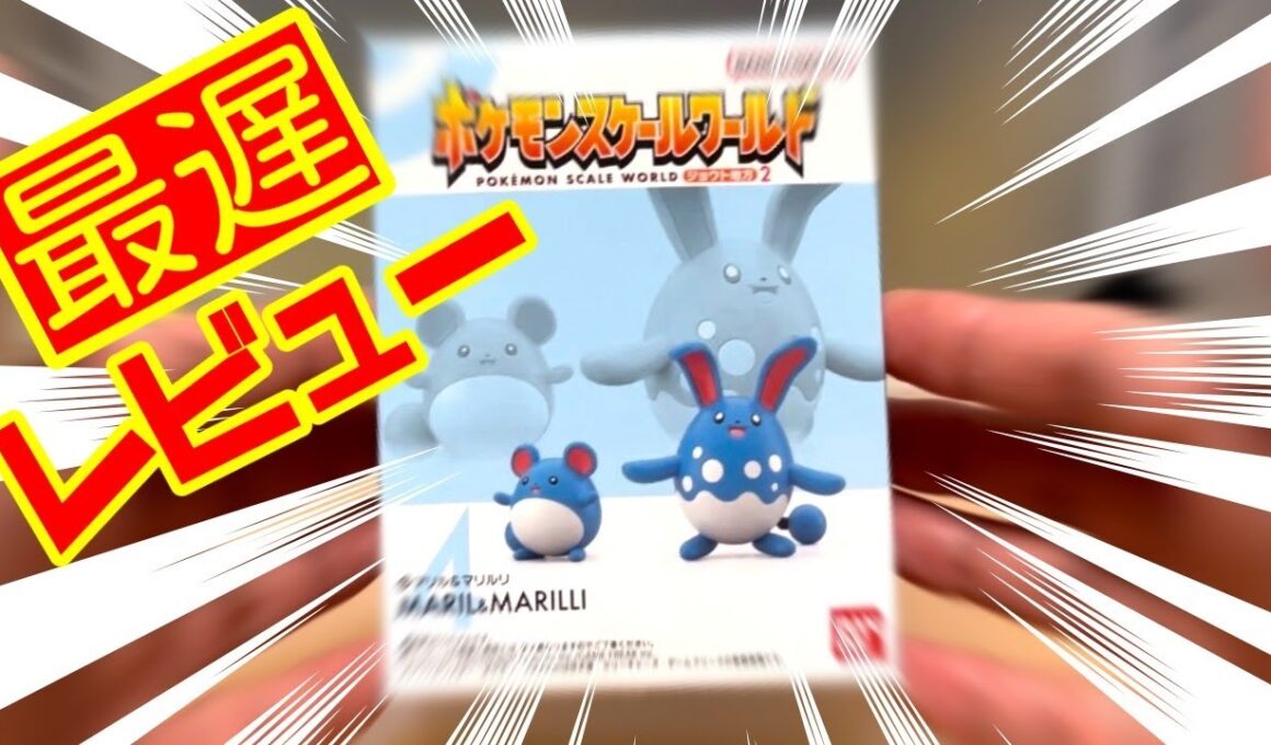 [最遅]ポケモンスケールワールドにマリルが出たぞ！！[レビュー]