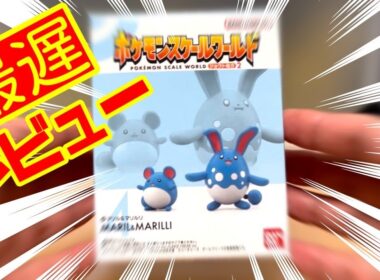 [最遅]ポケモンスケールワールドにマリルが出たぞ！！[レビュー]