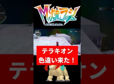 テラキオン色違い厳選が簡単すぎた！【ポケモンレジェンズZA M次元ラッシュ】#ポケモン #レジェンズZA #テラキオン #色違い #shorts