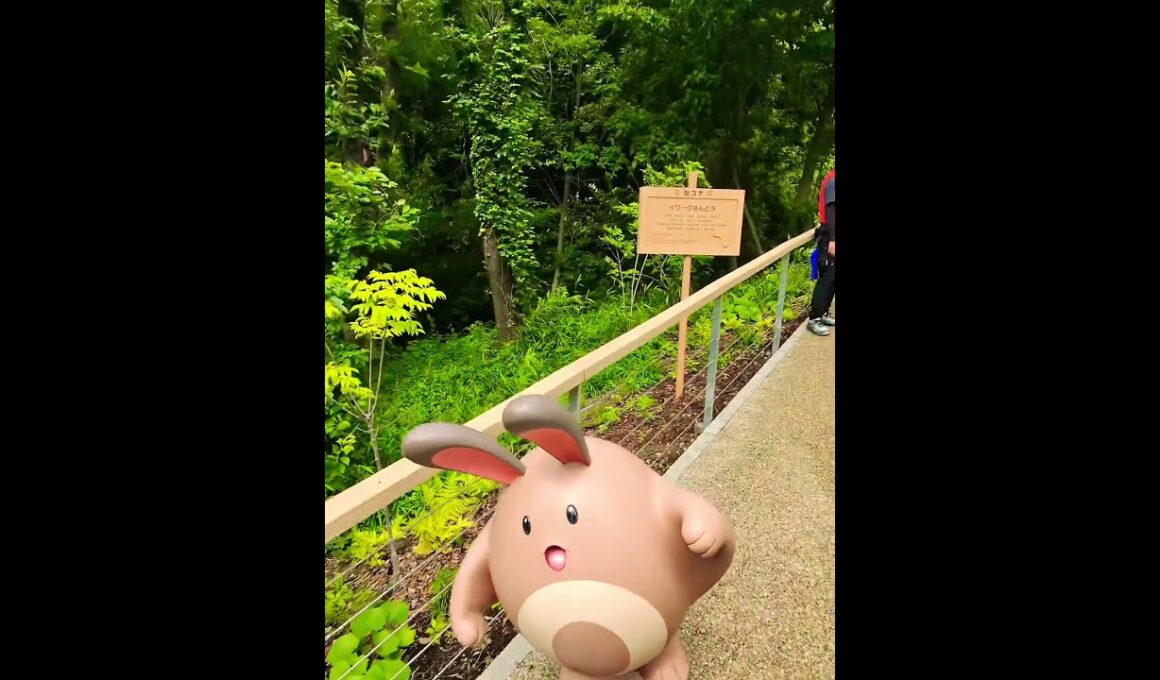 イワークさんどう #pokepark #ポケパーク #ポケパークカントー  #イワーク #ハガネール #オタチ