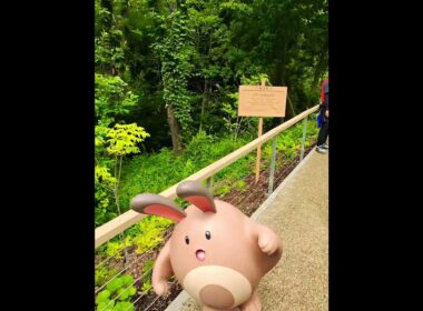 イワークさんどう #pokepark #ポケパーク #ポケパークカントー  #イワーク #ハガネール #オタチ