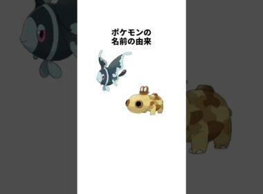 ポケモンの名前の由来 ネオラント ヒポポタス