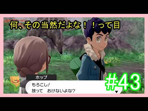 可愛いチュリネと距離感バグ野郎【ポケットモンスターソード　鎧の孤島】part43