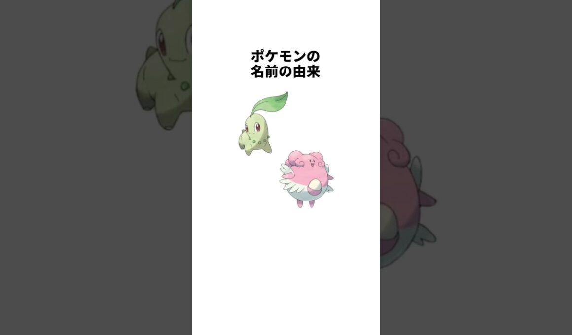 ポケモンの名前の由来 チコリータ ハピナス