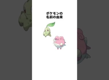 ポケモンの名前の由来 チコリータ ハピナス