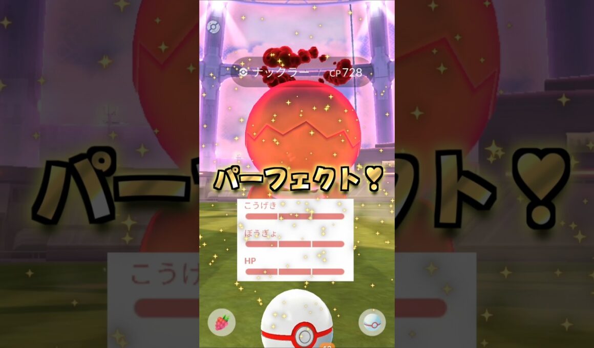 Dナックラー１３戦♪電気受け最強を狙え!!【ポケモンGO】