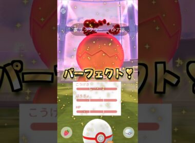 Dナックラー１３戦♪電気受け最強を狙え!!【ポケモンGO】