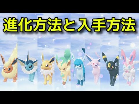 【ポケモンZA】イーブイズ 進化方法 入手方法 イーブイ進化先『Pokémon LEGENDS Z-A』ポケモンレジェンズZA