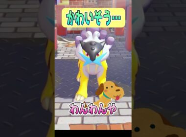 【ぽこあポケモン】さすがにやりすぎでは…ｗ #shorts #ぽこあポケモン #カビゴン #ライコウ