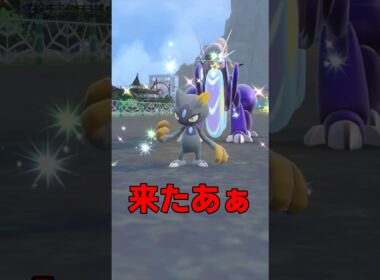 【ポケモンSV】ヒスイニューラの色違い出ました！【ポケットモンスタースカーレット・バイオレット】#ポケモン #ポケモンsv #スカーレットバイオレット #shorts
